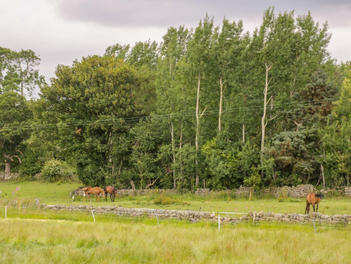 Thirley Beck Holiday home